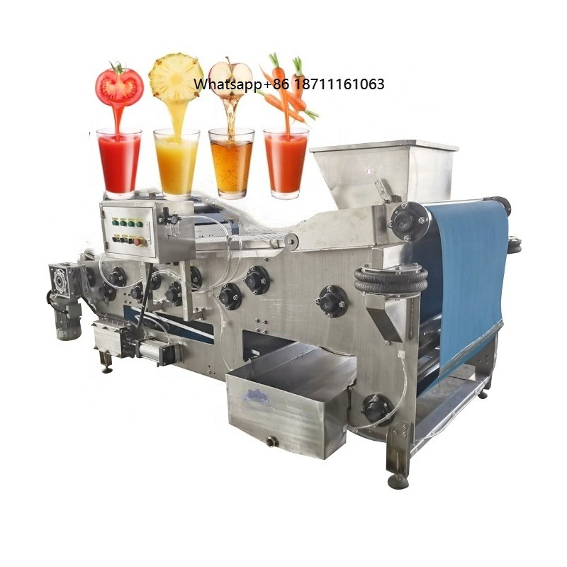 Cold Press Juicer - Spremiagrumi Industriale a Freddo per Frutta