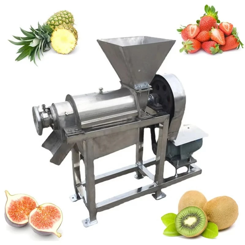 Estrattore di Succo Commercial - Cold Press Juicer recensione e prezzo