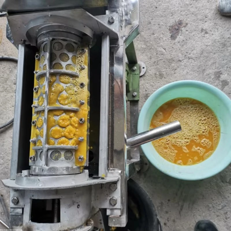 Estrattore di Succo Commercial - Cold Press Juicer recensione e prezzo