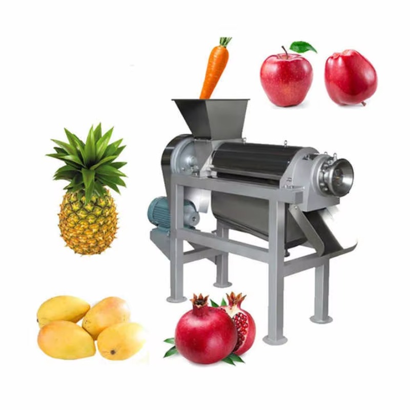 Macchina per la Produzione di  - Cold Press Juicer recensione e prezzo