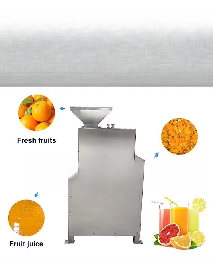 Spremiagrumi Industriale Autom - Cold Press Juicer recensione e prezzo