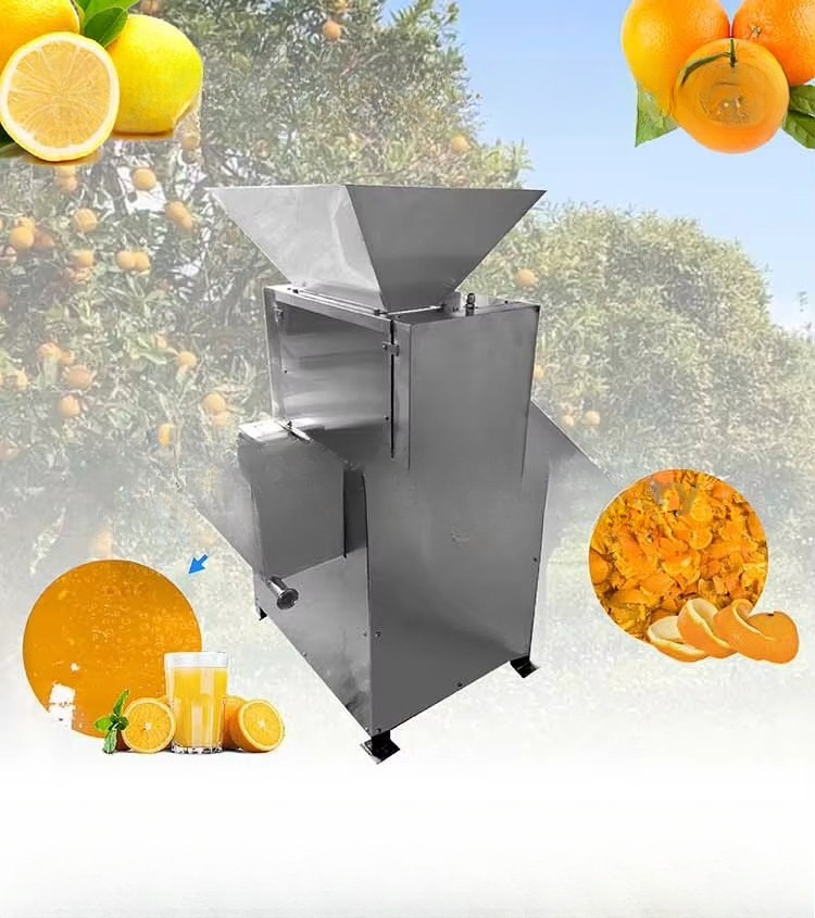 Spremiagrumi Industriale Autom - Cold Press Juicer recensione e prezzo