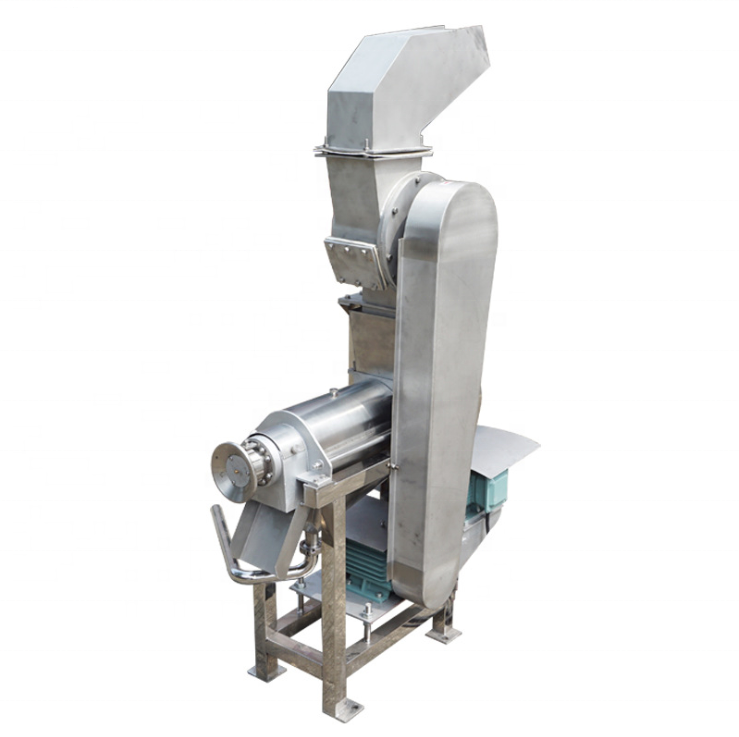 Estrattore di Succo Industrial - Cold Press Juicer recensione e prezzo