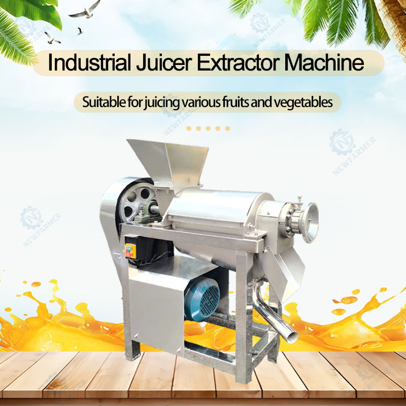 Spremiagrumi Commerciale a Fre - Cold Press Juicer recensione e prezzo
