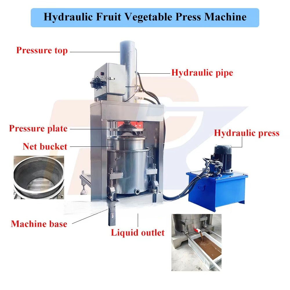 Estrattori di Succo Idraulici  - Cold Press Juicer recensione e prezzo