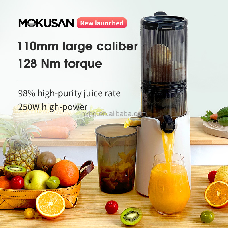 Vendita calda Bocca grande Pre - Cold Press Juicer recensione e prezzo